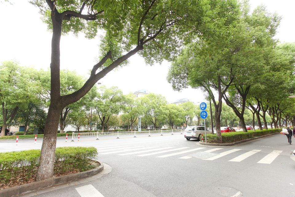 Wuxi Xinzhongyang Hotel Hotel in Suzhou