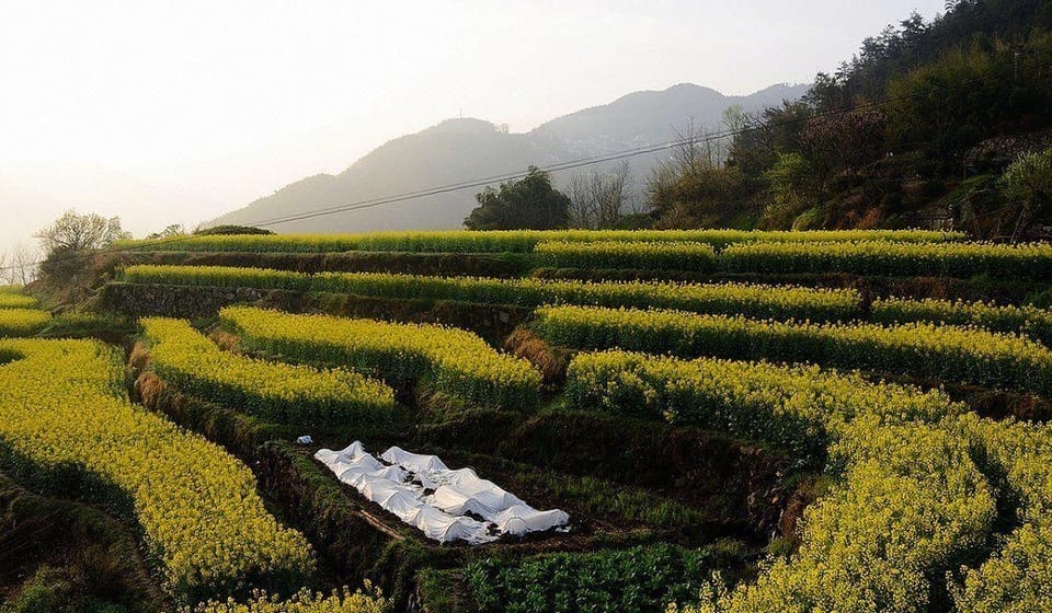 Chaxiangwan Guesthouse Hotel in Hangzhou