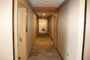 GreenTree Alliance Hotel (Nanjing Pukou District Audit University Wende Road Subway Station) Hotel in Nanjing
