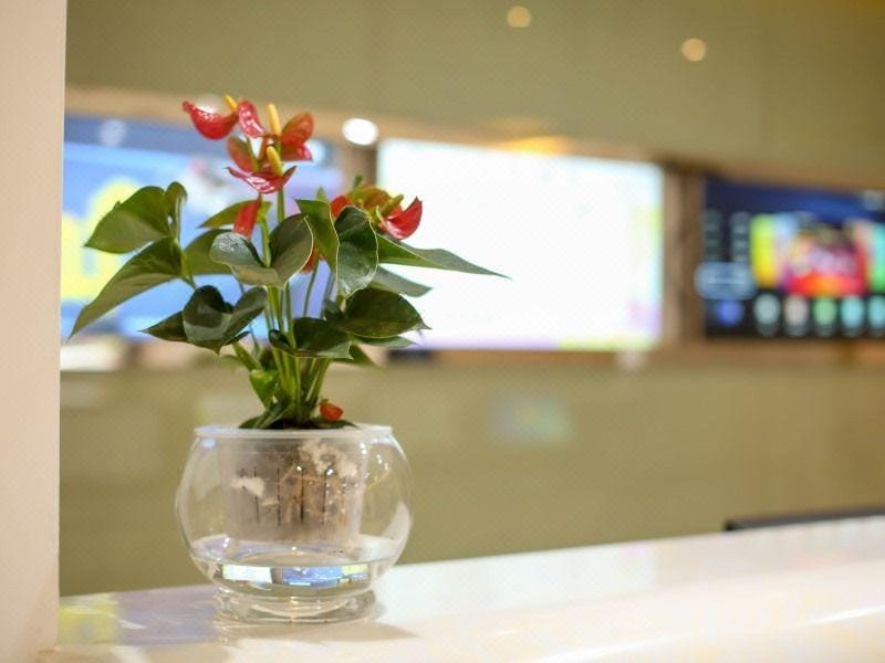 Shell Hotel (Nanjing Gaochun Gucheng Renmin South Road) Hotel in Nanjing