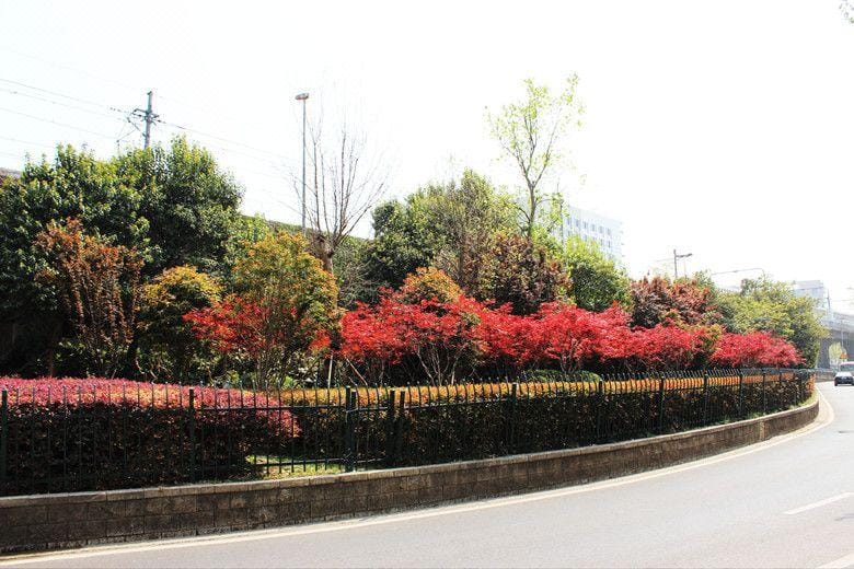 Zeyu Hotel (Nanjing Zhonghuamen Metro Station) Hotel in Nanjing
