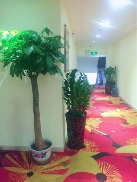 Changxin Theme Hotel Hotel in Shenzhen