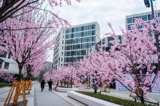 Guixiang Boutique Apartment (Hangzhou Xixi Longhu Tianjie) Hotel in Hangzhou