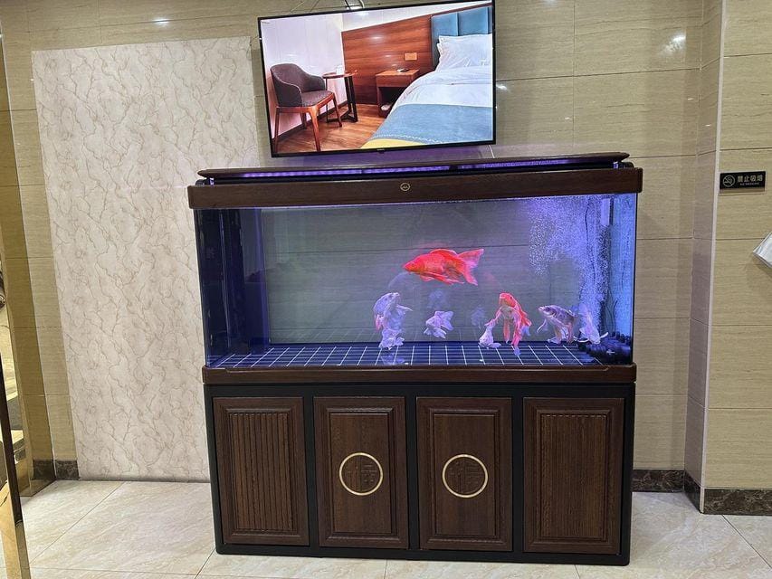 Anxin Business Hotel Hotel in Chengdu
