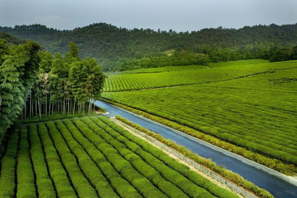 Jingshan Green Zen Academy Hotel in Hangzhou