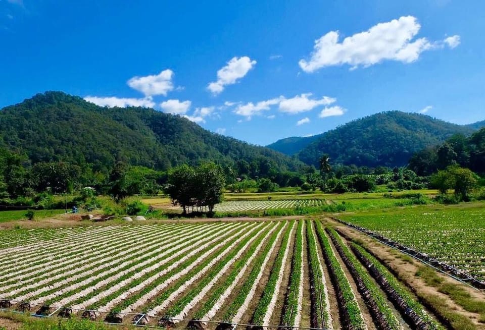 Wongwan Farm Hotel in Chon Buri Changwat
