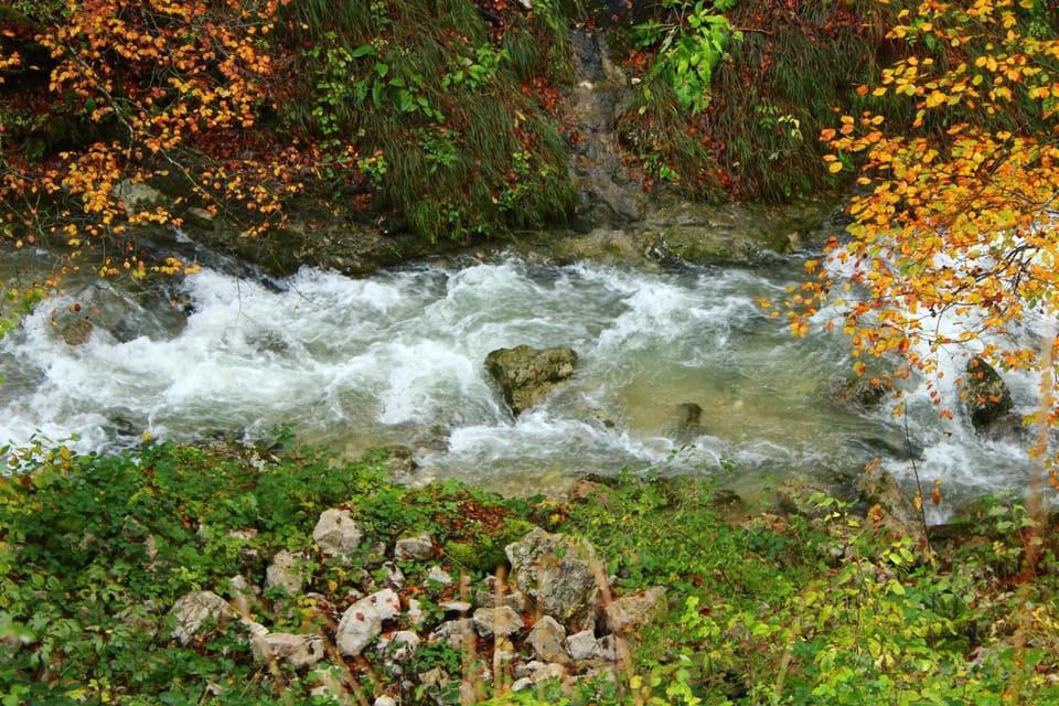 Auberge des Chasseurs Hotel in Canton of Geneva