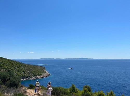 Stone House Hvar Stari Grad Hotel in Stari Grad