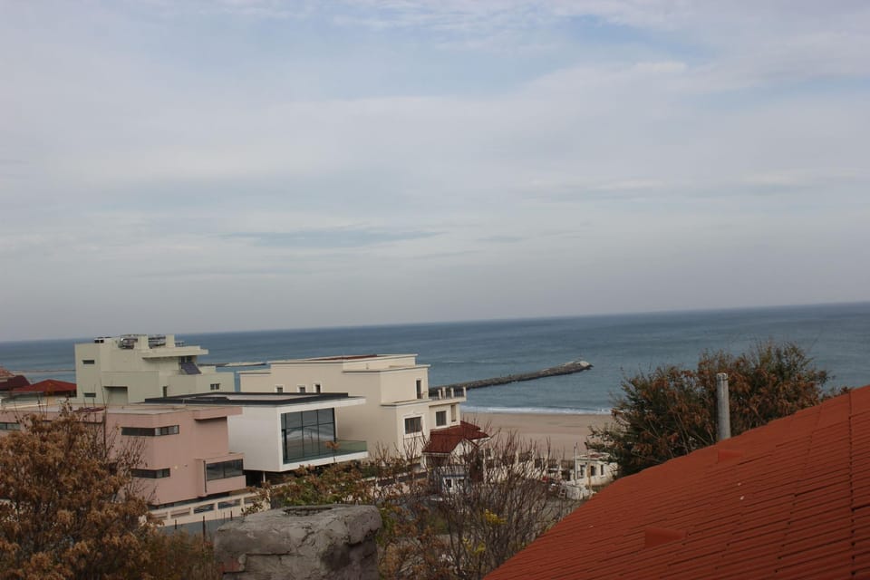 Vila Flavia B&B Hotel in Constanta