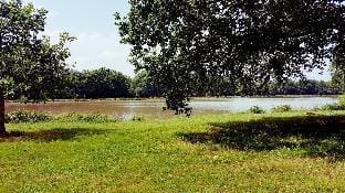 Auberge de villechaume Hotel in Centre-Val de Loire