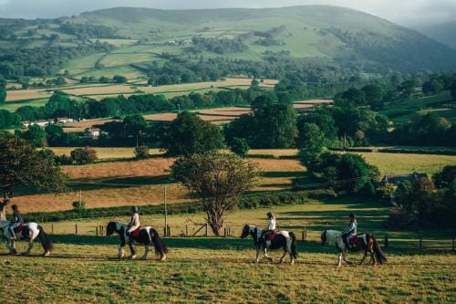 Lion Royal Hotel, Rhayader Hotel in Rhayader