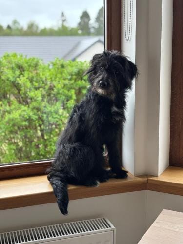 Danian B&B Hotel in Scotland