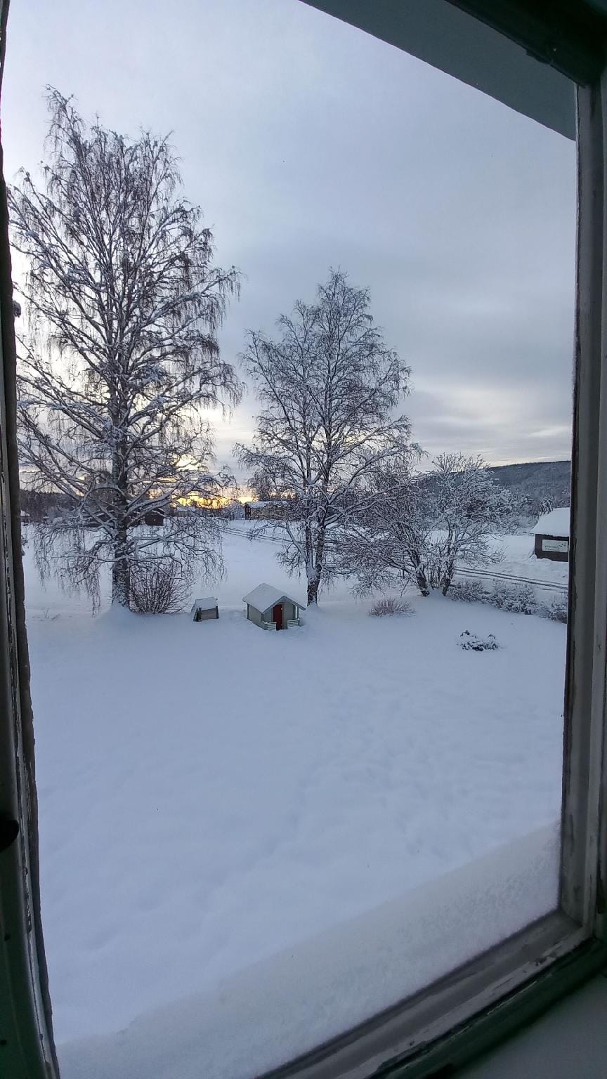 Forest Family Home Hotel in Sweden