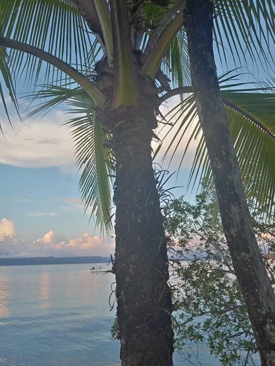 Hostel y Cabinas Tapandua Hotel in Puntarenas Province