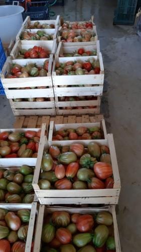 CASCINA PONTETTO Hotel in Asti