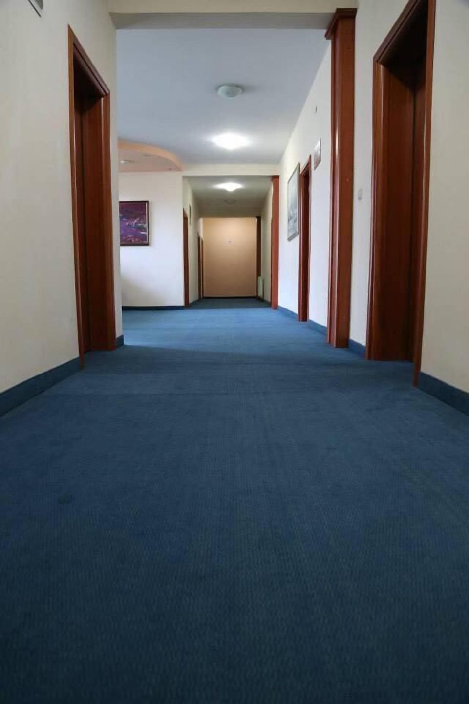 Hotel Apollonia Hotel in Serbia