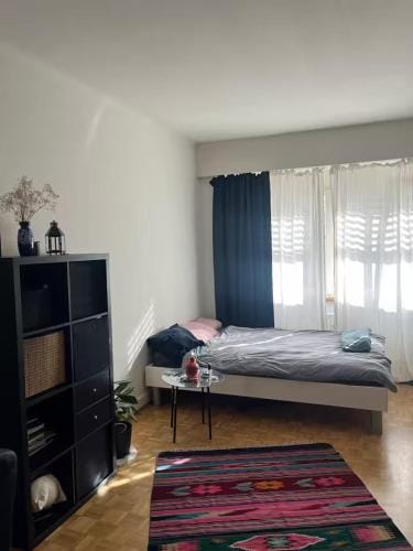 A cute room with 1,5 bed in shared flat Hotel in Nidwalden