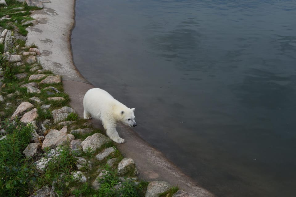 Koivumäki Hotel in Rovaniemi