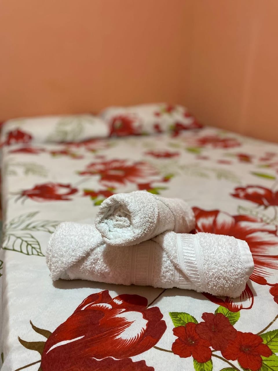 Pousada Santos Hotel in State of Piauí, Brazil