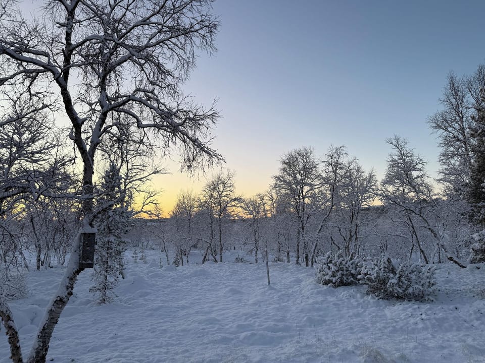 Arctic Raja Inn Hotel in Lapland