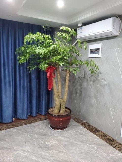Hangzhou boguan Hotel Hotel in Hangzhou