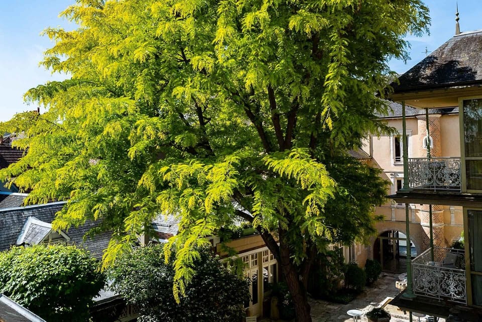 Grand Hotel du Lion d'Or Hotel in Centre-Val de Loire