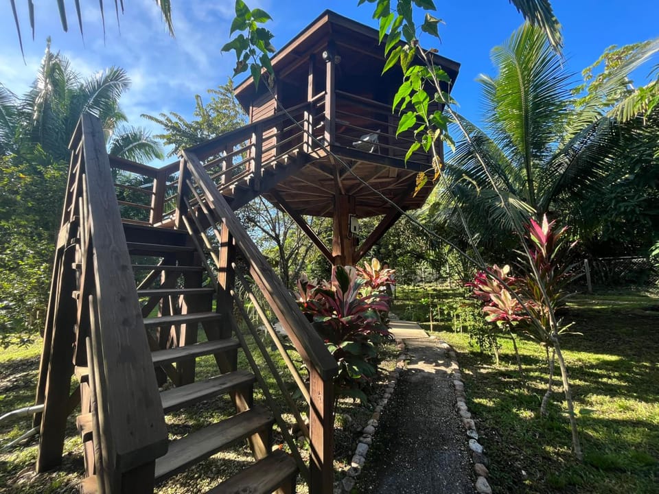 Green Valley Inn Lodge in Cayo District
