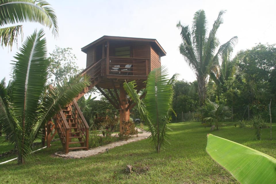 Green Valley Inn Lodge in Cayo District