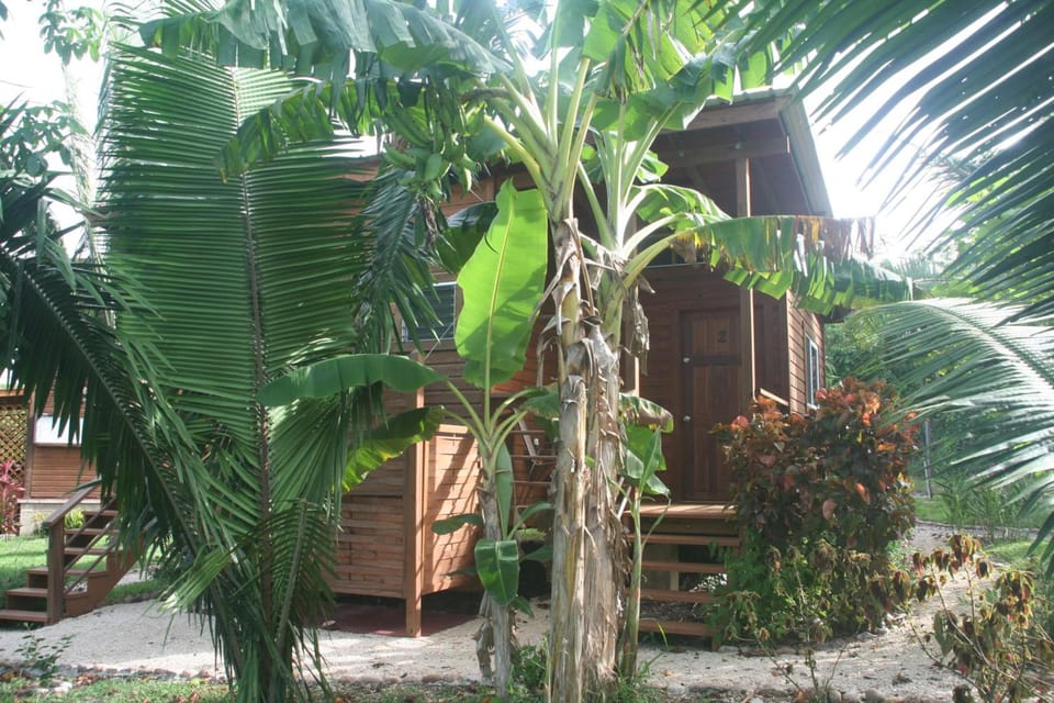 Green Valley Inn Lodge in Cayo District