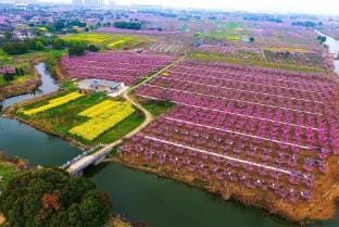 Kaiyue Hotel (Changzhou Xueyan Play Valley) Hotel in Suzhou