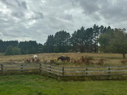 Master room Hotel in Waikato