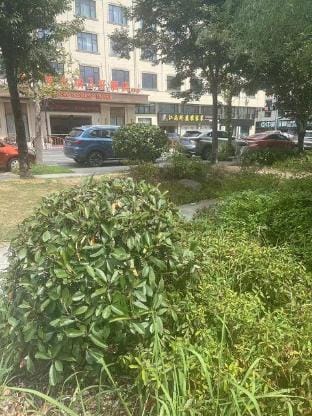 Vienna 3 Best Hotel (Dongyang Garden Rosewood Furniture City Hengdian Airport Branch) Hotel in Zhejiang