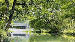 Jinyun Yunqi Zhishang Hotel Hotel in Zhejiang