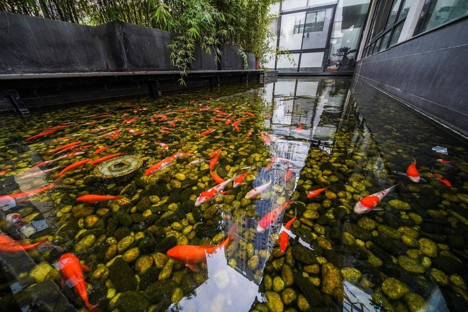 Huaya Yunman Hotel in Hubei
