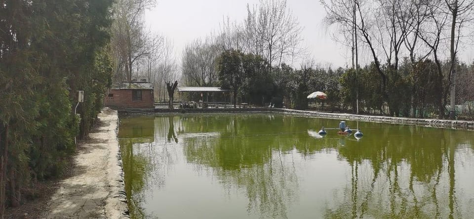 Shitang Suji Hotel in Xian