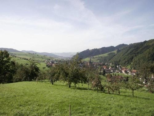 Pension Waldfrieden Hotel in Ortenau