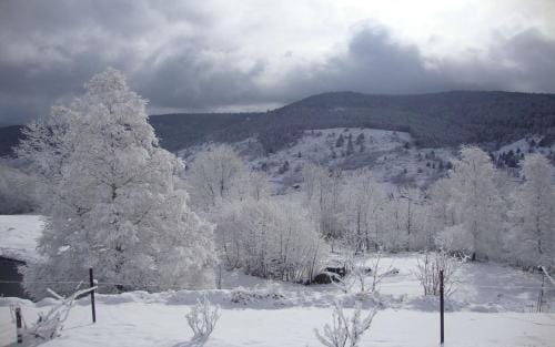 Les Chantenees Hotel in La Bresse