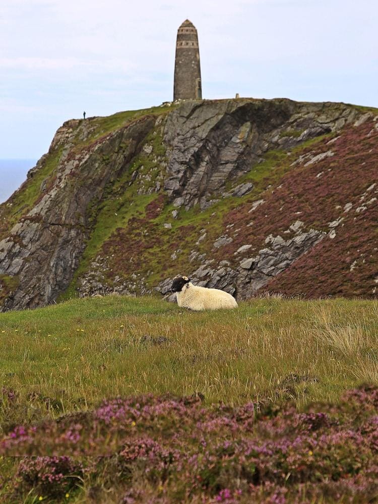 The Island Bear B&B Hotel in England