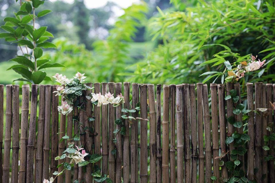 Hangzhou Yunqi Fan Path Blue b&B Hotel in Hangzhou