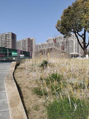 NanJing XinJie Business Hotel Hotel in Nanjing