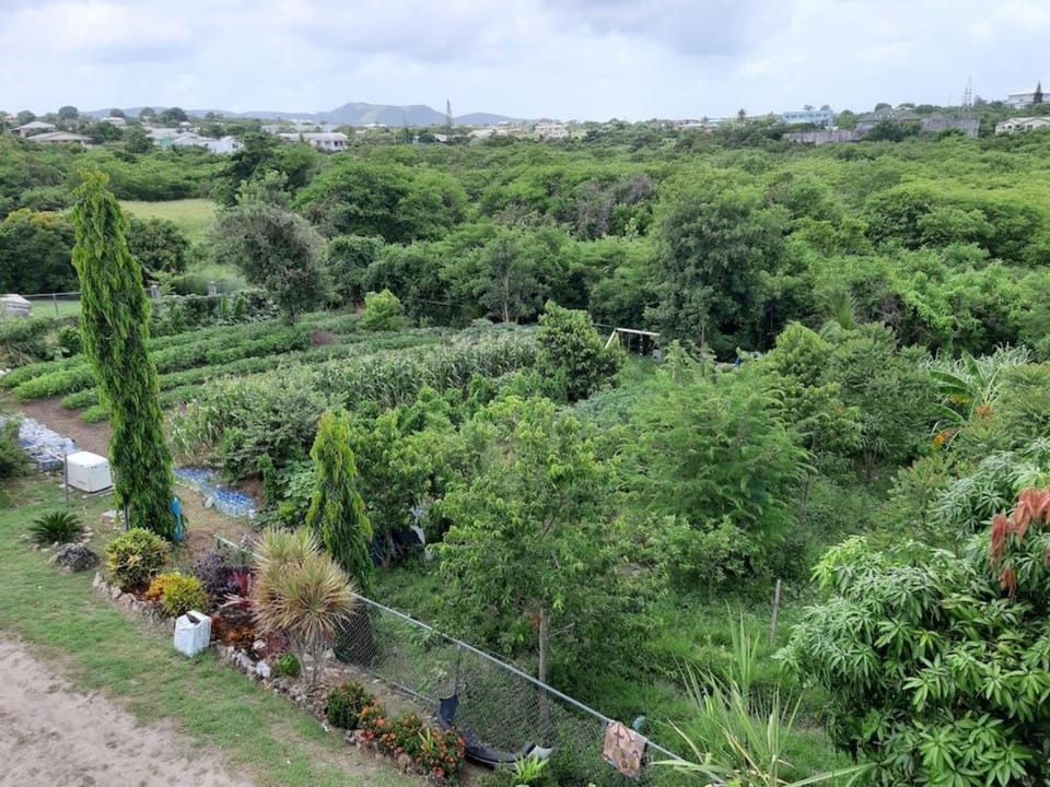LambLion Holiday Apartments Hotel in Antigua and Barbuda