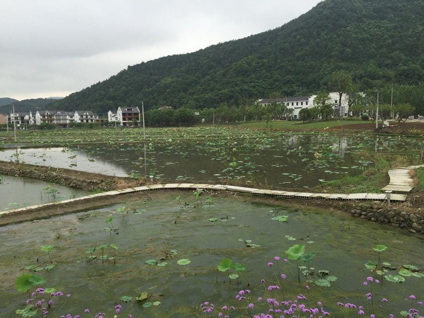 Uncle Yao's Hotel Hangzhou Hotel in Hangzhou