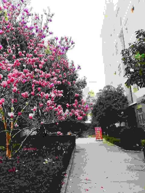 Harmony Hostel (Kunming Qianweiying Store) Hotel in China