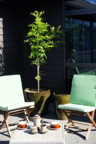 Titoki House - Bed and Breakfast Hotel in Cambridge