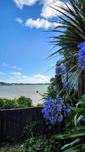 Private guest suite near the airport 1-4 guests Hotel in Auckland