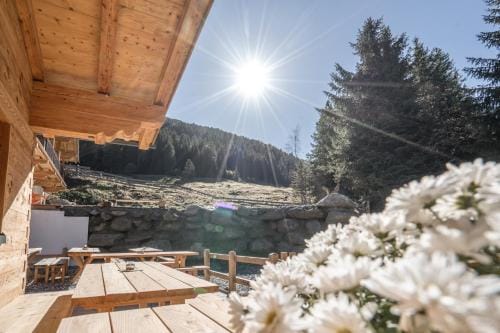 Weidenchalets Lodge in Tyrol