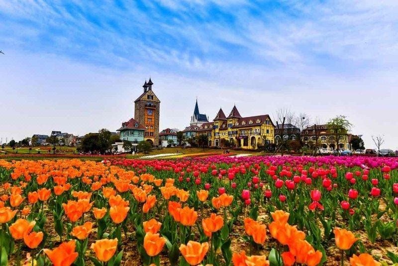 HaluoqingHotel Hotel in Wuhan