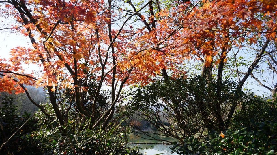 Rohcha Inn (Hangzhou Literature Museum) Hotel in Hangzhou
