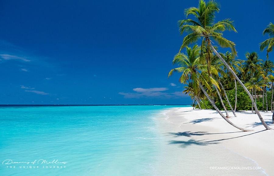 Ekefaru Inn Maldives Hotel in Maldives