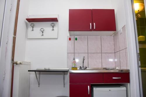 Guest House Ceca Hotel in Timiș County